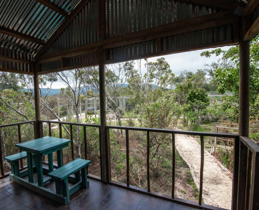 Lion_cabin_deck-1